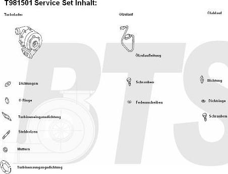 BTS Turbo T981501 - Turbocompressore, Sovralimentazione www.autoricambit.com