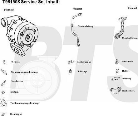 BTS Turbo T981508 - Turbocompressore, Sovralimentazione www.autoricambit.com