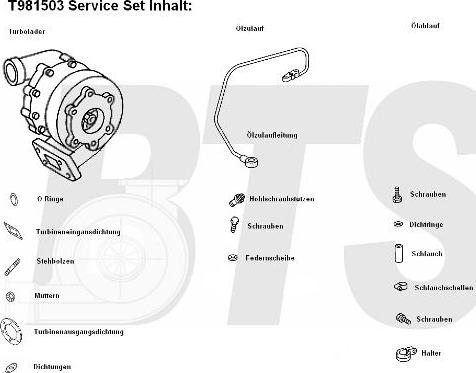 BTS Turbo T981503 - Turbocompressore, Sovralimentazione www.autoricambit.com