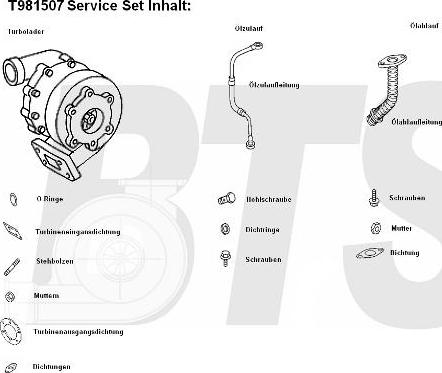 BTS Turbo T981507 - Turbocompressore, Sovralimentazione www.autoricambit.com