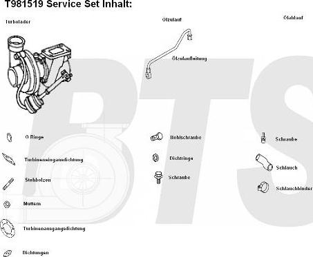 BTS Turbo T981519 - Turbocompressore, Sovralimentazione www.autoricambit.com