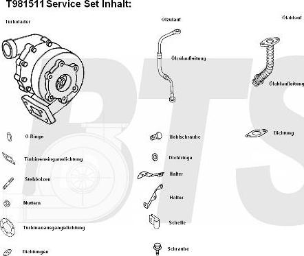 BTS Turbo T981511 - Turbocompressore, Sovralimentazione www.autoricambit.com