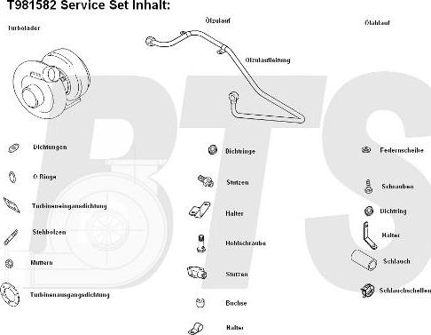 BTS Turbo T981582 - Turbocompressore, Sovralimentazione www.autoricambit.com