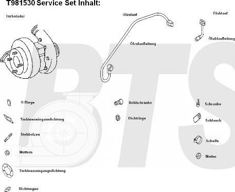 BTS Turbo T981530 - Turbocompressore, Sovralimentazione www.autoricambit.com