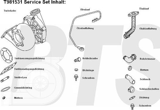 BTS Turbo T981531 - Turbocompressore, Sovralimentazione www.autoricambit.com