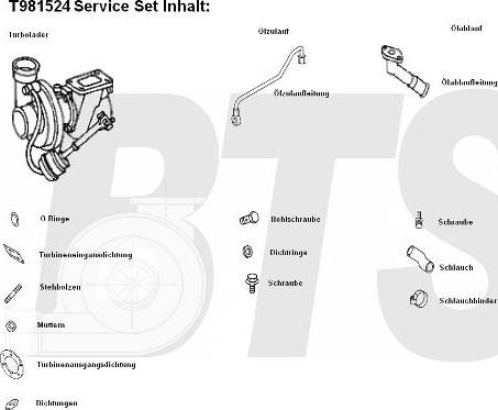 BTS Turbo T981524 - Turbocompressore, Sovralimentazione www.autoricambit.com