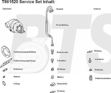 BTS Turbo T981520 - Turbocompressore, Sovralimentazione www.autoricambit.com