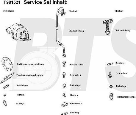 BTS Turbo T981521BL - Turbocompressore, Sovralimentazione www.autoricambit.com