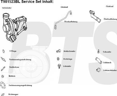 BTS Turbo T981523BL - Turbocompressore, Sovralimentazione www.autoricambit.com