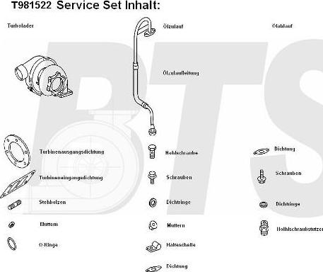 BTS Turbo T981522 - Turbocompressore, Sovralimentazione www.autoricambit.com