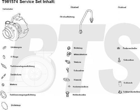 BTS Turbo T981574 - Turbocompressore, Sovralimentazione www.autoricambit.com