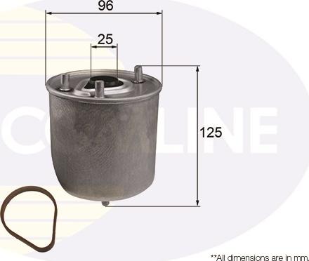 Comline EFF246 - Filtro carburante www.autoricambit.com