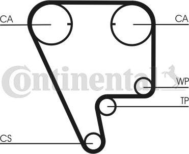 CONTITECH CT804 - Cinghia dentata www.autoricambit.com