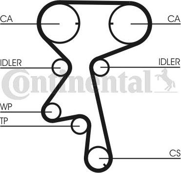 CONTITECH CT873WP4 - Pompa acqua + Kit cinghie dentate www.autoricambit.com