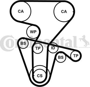 CONTITECH CT877K4PRO - Kit cinghie dentate www.autoricambit.com