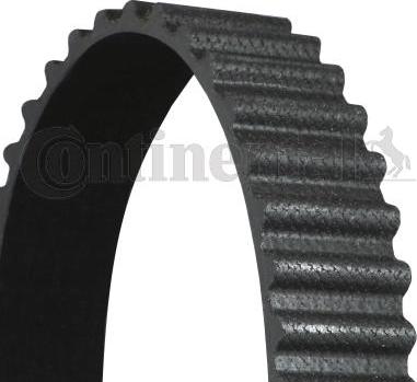 CONTITECH CT911 - Cinghia dentata www.autoricambit.com