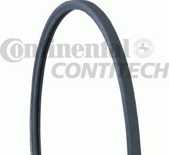 CONTINENTAL CTAM BR 2PJ860 - Cinghia Poly-V www.autoricambit.com