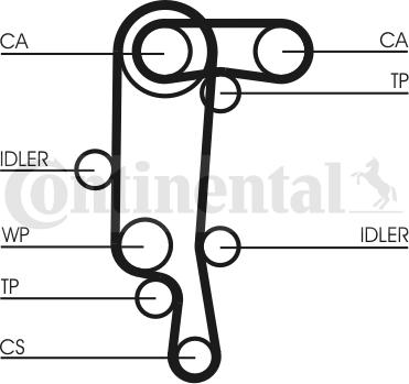 CONTINENTAL CTAM BR CT957 - Cinghia dentata www.autoricambit.com