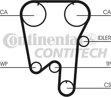 CONTINENTAL CTAM BR CT902 - Cinghia dentata www.autoricambit.com