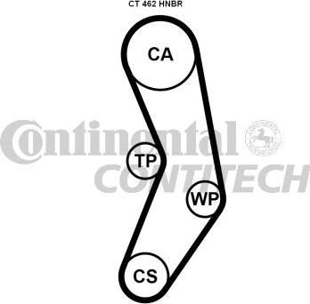 CONTINENTAL CTAM BR CT462 - Cinghia dentata www.autoricambit.com