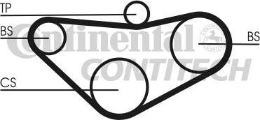 CONTINENTAL CTAM BR CT800 - Cinghia dentata www.autoricambit.com