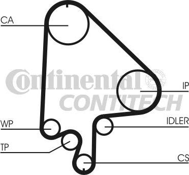 CONTINENTAL CTAM BR CT871 - Cinghia dentata www.autoricambit.com