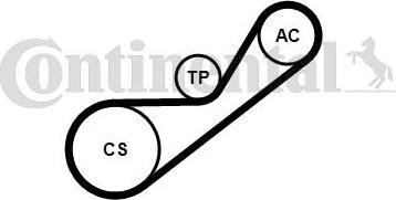 Contitech 4PK925K1 - Kit Cinghie Poly-V www.autoricambit.com