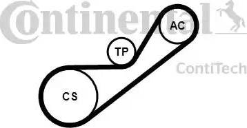 Continental 4PK925K1 - Kit Cinghie Poly-V www.autoricambit.com