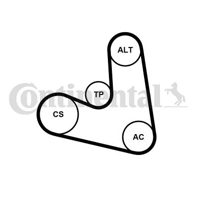 Continental 4PK654K1 - Kit Cinghie Poly-V www.autoricambit.com