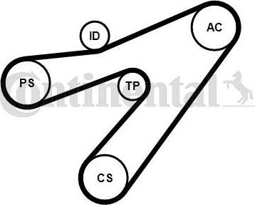 CONTITECH 4PK1538K1 - Kit Cinghie Poly-V www.autoricambit.com