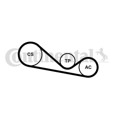 Continental 4PK1237K1 - Kit Cinghie Poly-V www.autoricambit.com