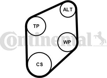 Contitech 4PK800K1 - Kit Cinghie Poly-V www.autoricambit.com