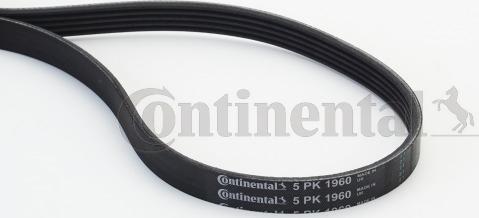 Contitech 5 PK 1960 - Cinghia Poly-V www.autoricambit.com