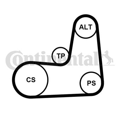 Continental 5PK1135K2 - Kit Cinghie Poly-V www.autoricambit.com