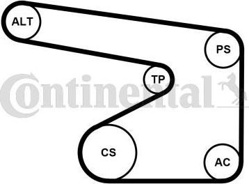 Contitech 5PK1355WP4 - Pompa acqua + Kit cinghia Poly V www.autoricambit.com