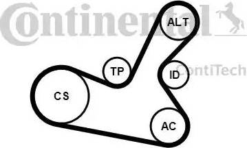 Continental 5PK1300K1 - Kit Cinghie Poly-V www.autoricambit.com