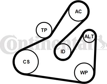 CONTITECH 5PK1745K1 - Kit Cinghie Poly-V www.autoricambit.com