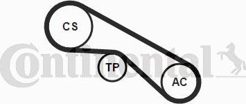 CONTITECH 5PK875K1 - Kit Cinghie Poly-V www.autoricambit.com