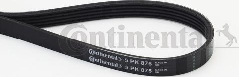 Contitech 5PK875 - Cinghia Poly-V www.autoricambit.com