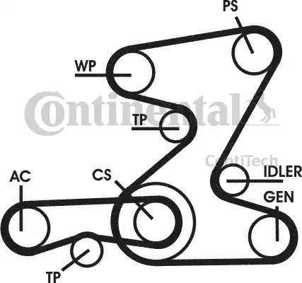 Continental 5PK2030D1 - Kit Cinghie Poly-V www.autoricambit.com