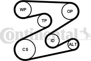 Contitech 5PK2030K1 - Kit Cinghie Poly-V www.autoricambit.com