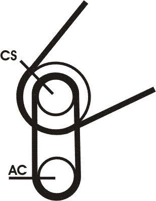 Contitech 5PK716 ELAST T1 - Kit Cinghie Poly-V www.autoricambit.com