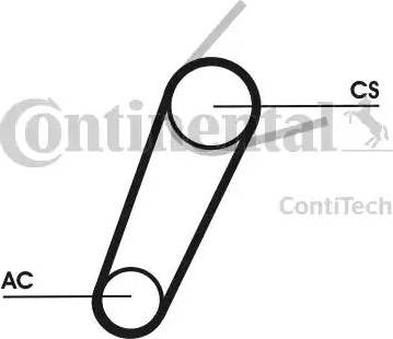 Continental 5PK711 ELAST T1 - Cinghia Poly-V www.autoricambit.com