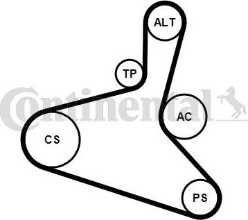 Contitech 6DPK1195K2 - Kit Cinghie Poly-V www.autoricambit.com