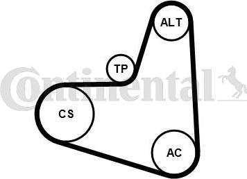 CONTITECH 6PK948K1 - Kit Cinghie Poly-V www.autoricambit.com