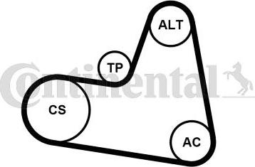 Continental 6PK962K1 - Kit Cinghie Poly-V www.autoricambit.com