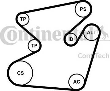 Continental 6PK1950K1 - Kit Cinghie Poly-V www.autoricambit.com