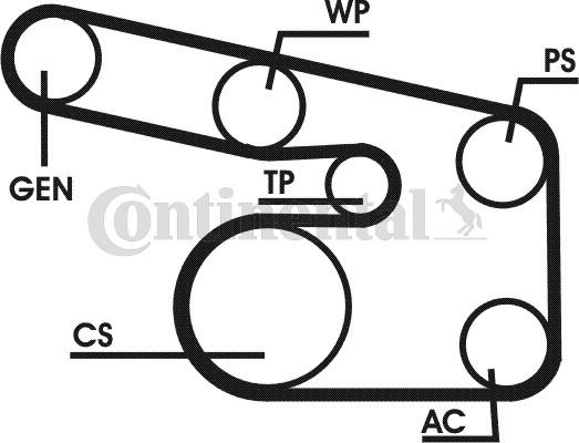 CONTITECH 6PK1900D1 - Kit Cinghie Poly-V www.autoricambit.com