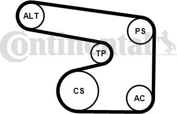 Contitech 6PK1900K1 - Kit Cinghie Poly-V www.autoricambit.com