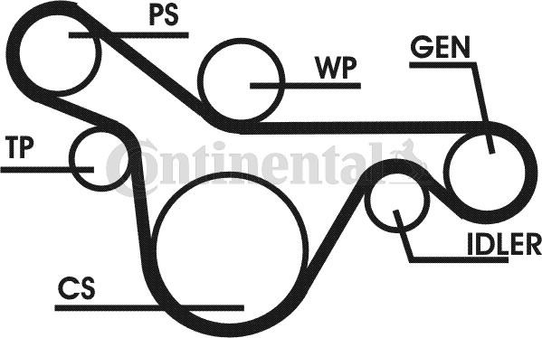 Contitech 6PK1413D1 - Kit Cinghie Poly-V www.autoricambit.com